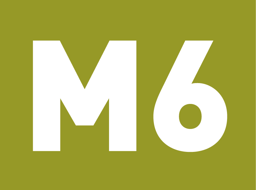 ligne-m6.png
